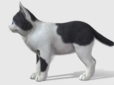 Kitten - Simple Low-poly 3D model