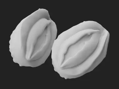 abalone Low-poly 3D model