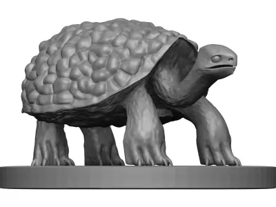 Tortoise 3D model
