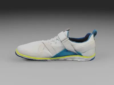 Xero Forza Trainer Clean scan 3D model