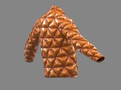 bump jacket  Low-poly 3D model