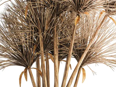 Small bouquet of dried flowers in a vase with hogweed 324 3D model