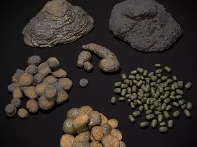 Poop Variety Pack 3D Model Collection