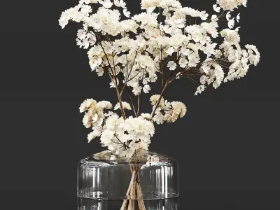 Collection Indoor Plants 014 3D model