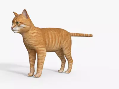 Yellow 3D Cat Rigged 3D model