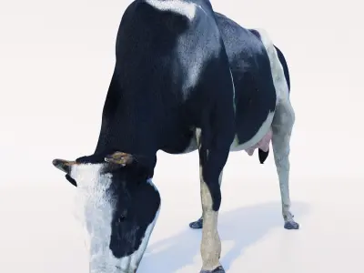 Cow Hair and Fur Low-poly 3D model