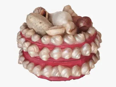 Box with seashells Low-poly 3D model