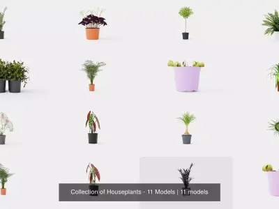 Collection of Houseplants - 11 Models