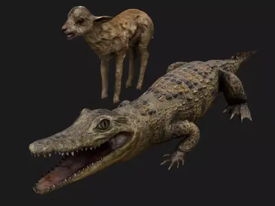 Deer and Crocodile Herbivore and Predator Low-poly 3D model