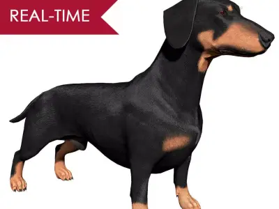 Dachshund Real-Time Low-poly 3D model