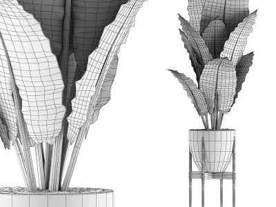 Plants Collection 56 3D model