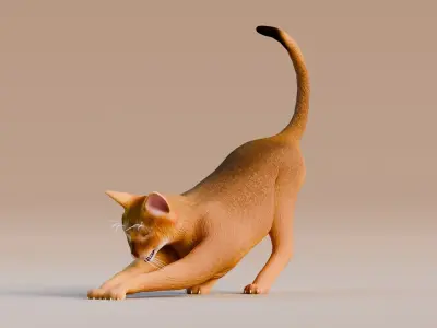 Low poly - Stylized cats - Abyssinian Cat Low-poly 3D model