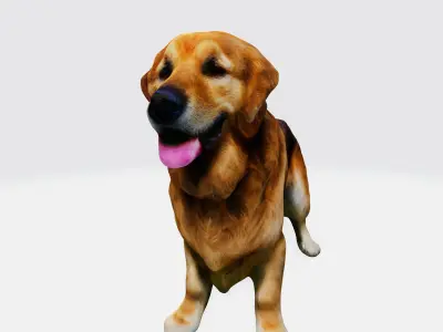 Realistic Golden Retriever 3D Model - Ready for Printing Low-poly 3D model