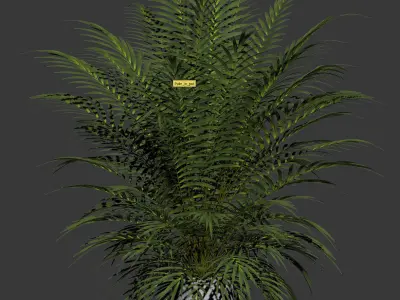 Palm tree in concrete pot 3D model