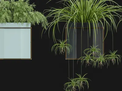 Modern Potting Plant 3D model