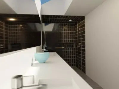 tooilet bathroom with skylight 3D model