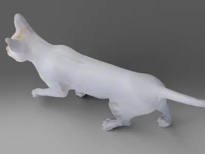 Cat White Rigged in Blender Low-poly 3D model