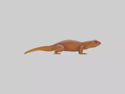 Eastern Newt crawling model Low-poly 3D model