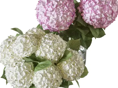 Flower Set 103 hydrangea 3D model