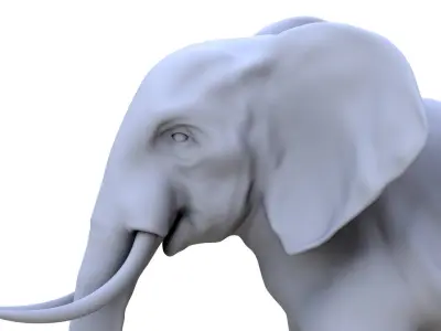 Elephant 3D Model 3D model
