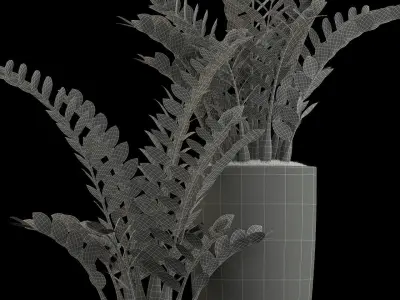 Plants collection 56 3D model