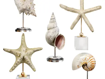 Sea shell decorative set 03 3D model