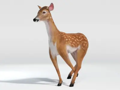 Animated Lowpoly Baby Deer Low-poly 3D model