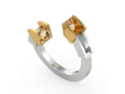 Antiphelus Ring Free 3D print model