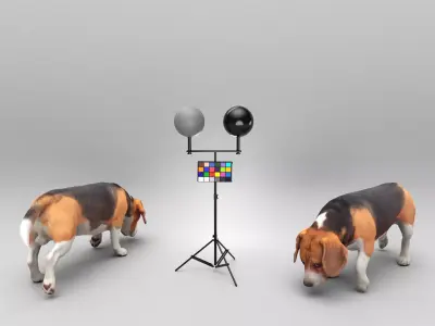 Beagle 40 Low-poly 3D model