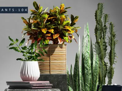 Plants 104 3D model