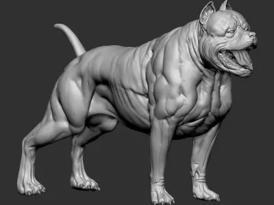 American pit bull terrier model Low-poly 3D model