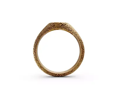 stone rock ring 3D print model