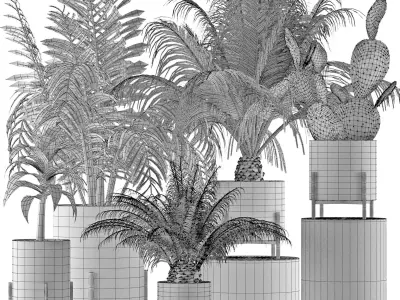 Plants Collection 28 3D model