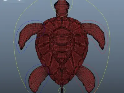 Stylized Turtle - Multiple Texture Options Low-poly 3D model