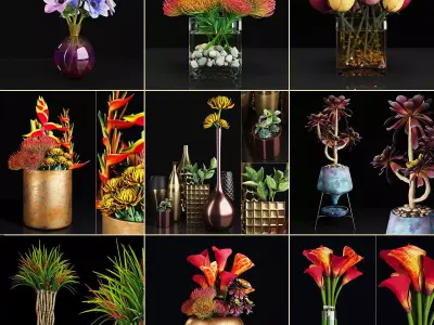 Plant collection 2 calla lily in glass vase