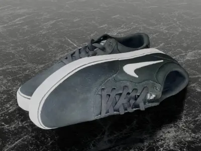 NIKE CHRON 2 SB 3D SHOES 3D model