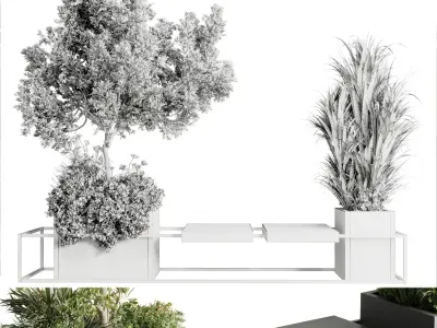 Urban Environment - Urban Furniture - Green Benches With tree 40 Low-poly 3D model