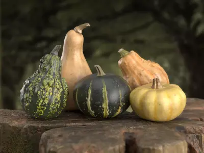 3D Pumpkin models  3D Model Collection