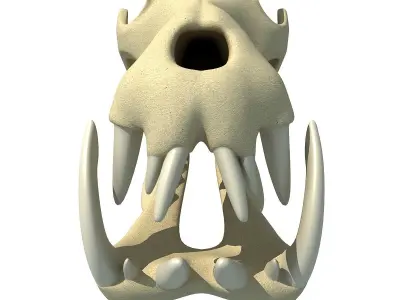 Hippo Skull  3D model