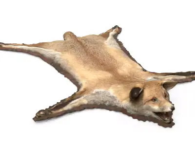 CARPET FOX 3D model