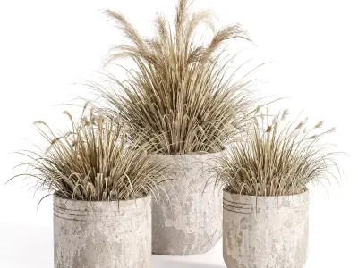 outdoor-plants-in-vase-001 3D model