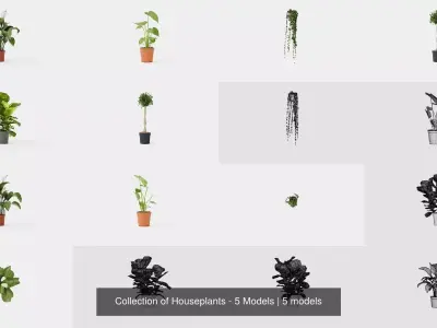 Collection of Houseplants - 5 Models