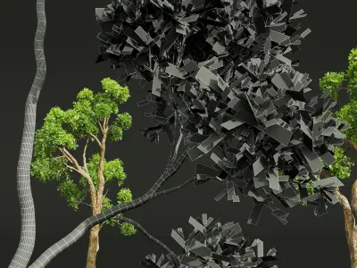 New Plant High detail Cinnamomum Camphora Decorative Free 3D model