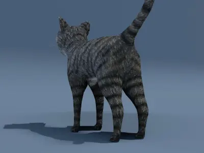 Cartoon Cat Brown Grey Striped 3D Model Low-poly 3D model