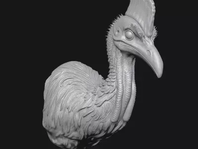 Cassowary 3D print model