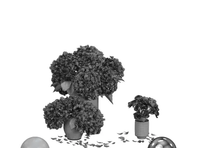 Hydrangea Peonies Vases 3D model