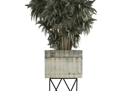 Plants Collection 80 3D model