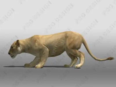 Lioness Animated Low-poly 3D model
