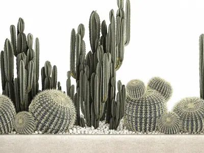 Cactus set in a concrete flowerpot for the interior 1097 3D model