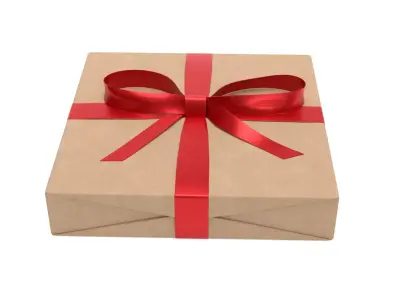 Wrapped Gift Box PBR 12 3D model